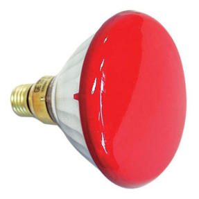 DISCONTINUED - Showtec Par 38 E27 Flood Showtec 240V 90W, rood