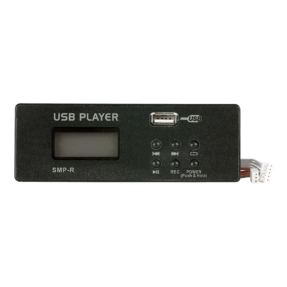 DAP MP3 USB record module for GIG