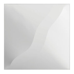WENTEX® 3D Deco Panel Double Wave Voor 2 x WENTEX® SET Frame - A Module 100 x 100 cm