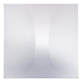 WENTEX® 3D Deco Panel Venturi Slim Voor 2 x WENTEX® SET Frame - A Module 2' x 4'