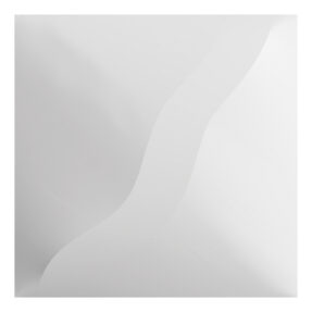 WENTEX® 3D Deco Panel Double Wave Voor 2 x WENTEX® SET Frame - A Module 2' x 4'