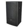 DAP NRG-10A Actieve 10” full-range luidspreker