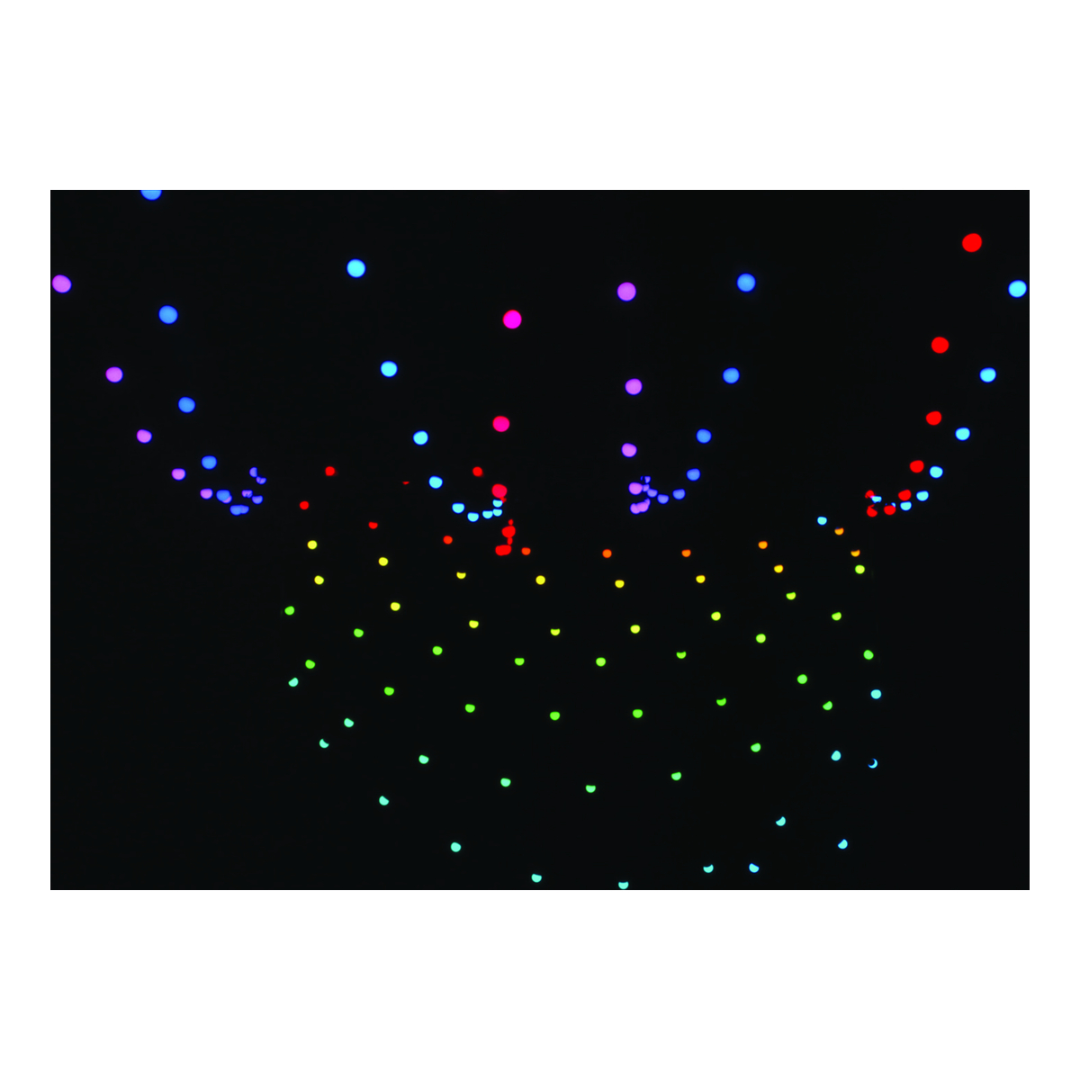 Showtec Festoon Q4 String IP65 – 15 m, 20 pixels, per-pixel aansturing (DMX/Art-Net) Showtec Festoon Q4 String IP65 – 15 m, 20 pixels, per-pixel aansturing (DMX/Art-Net)