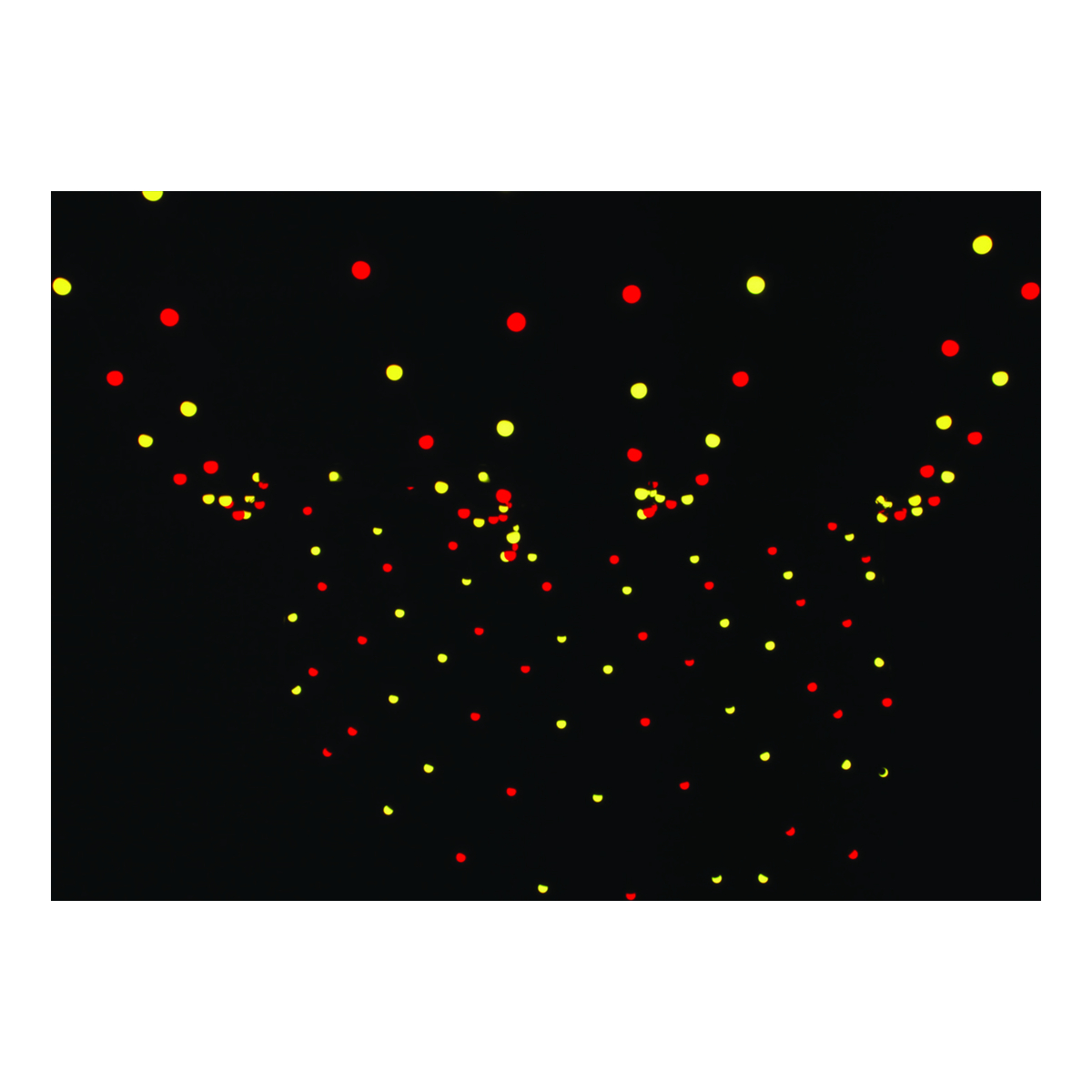 Showtec Festoon Q4 String IP65 – 15 m, 20 pixels, per-pixel aansturing (DMX/Art-Net) Showtec Festoon Q4 String IP65 – 15 m, 20 pixels, per-pixel aansturing (DMX/Art-Net)