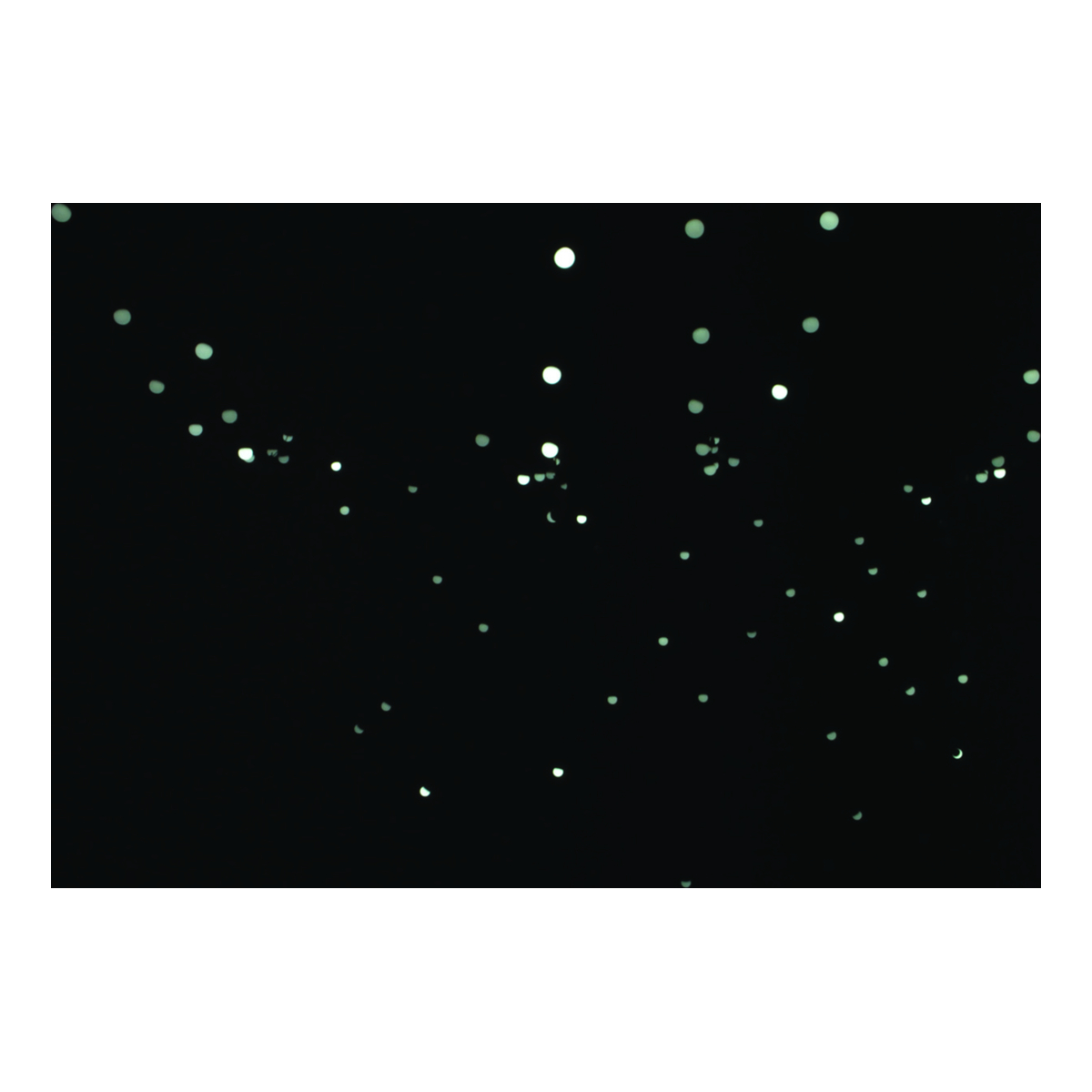 Showtec Festoon Q4 String IP65 – 15 m, 20 pixels, per-pixel aansturing (DMX/Art-Net) Showtec Festoon Q4 String IP65 – 15 m, 20 pixels, per-pixel aansturing (DMX/Art-Net)