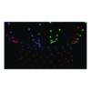 Showtec Festoon Q4 String IP65 – 15 m, 20 pixels, per-pixel aansturing (DMX/Art-Net)