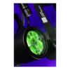 Showtec Cameleon Zoom Spot 4Q6 Tour – 4x 50 W RGBWA-UV Spot