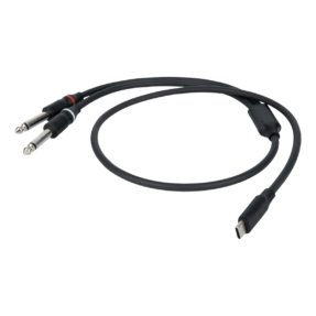 DAP FL111 verloopkabel USB-C naar 2 mono jack L/R, 1,5 m, zwart