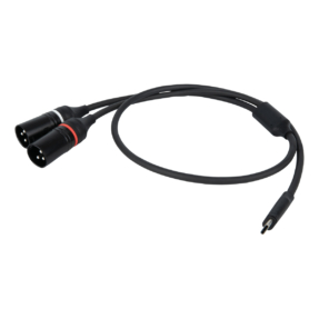 DAP FL112 – USB-C naar 2× XLR male 3‑polig verloopkabel, 384 kHz/32 bit, 0,75 m DAP FL112 – USB-C naar 2× XLR male 3‑polig verloopkabel, 384 kHz/32 bit, 0,75 m